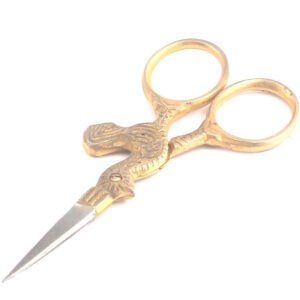 Dental Instruments
