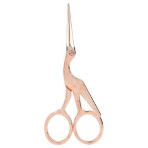 Dental Instruments